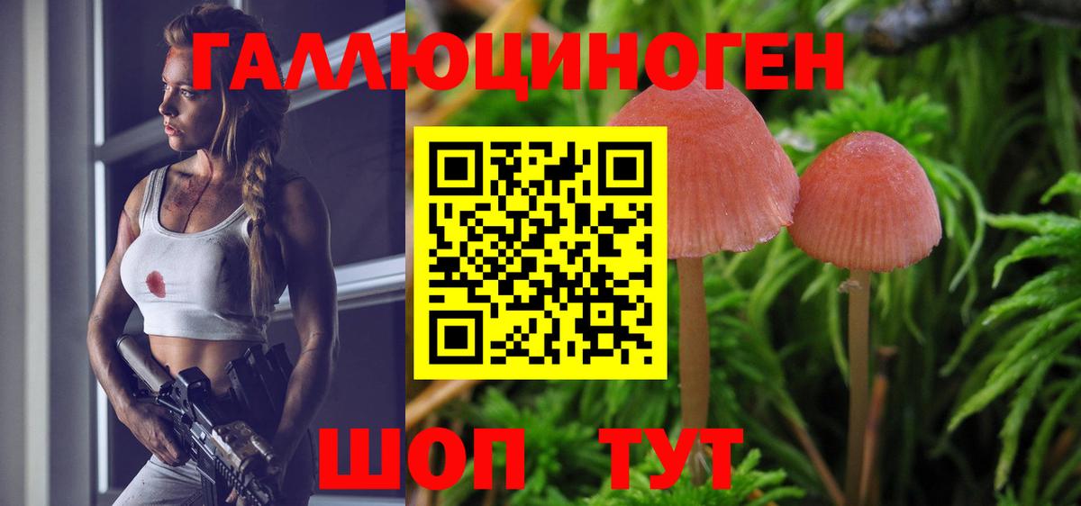 Псилоцибиновые грибы Psilocybe  Галлюциногенные грибы Magic Shrooms  Новоуральск  Вход с VPN 